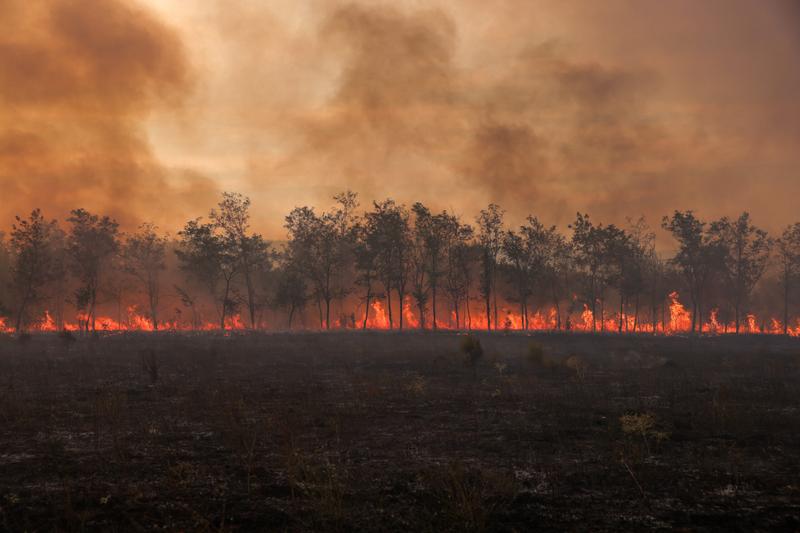 2023 12 03T060523Z 1 LYNXMPEJB201C RTROPTP 4 EUROPE WEATHER GREECE WILDFIRE Scaled
