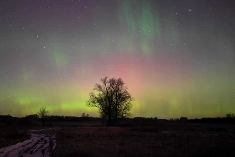 2023 11 06T112418Z 1 LYNXMPEJA50D0 RTROPTP 4 NORTHERNLIGHTS RUSSIA Scaled