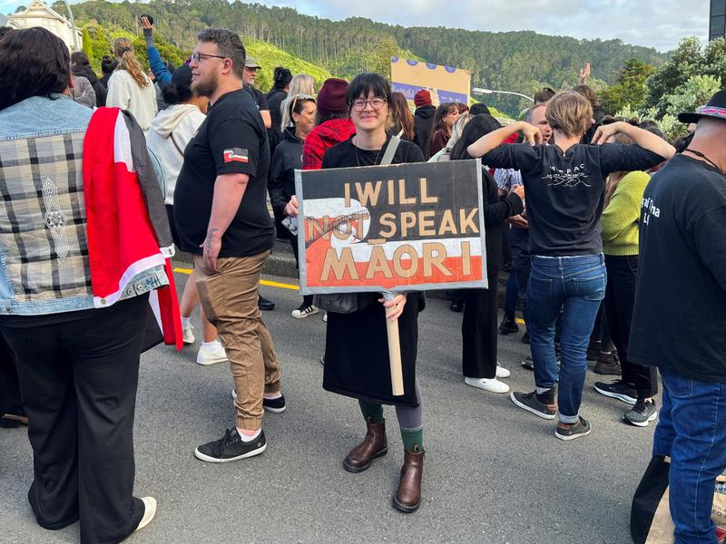2023 12 04T223933Z 2 LYNXMPEJB30QZ RTROPTP 4 NEWZEALAND POLITICS PROTESTS Scaled