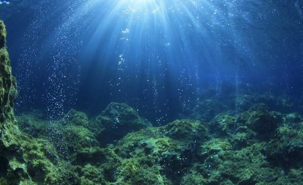 Ocean Oxygyen