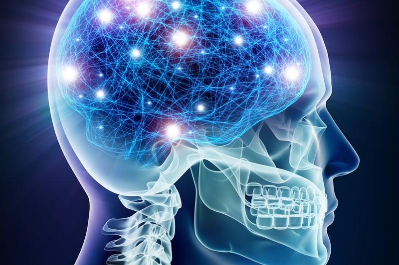 Brain Bulb